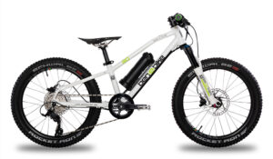 ben-e-Bike Twenty Pro TFT 20" mit Federgabel